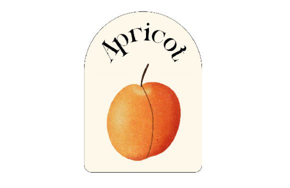 Retro Fruit Label - Apricot, Watercolor: A Warm, Organic Touch for Kitchen Branding and Beyond